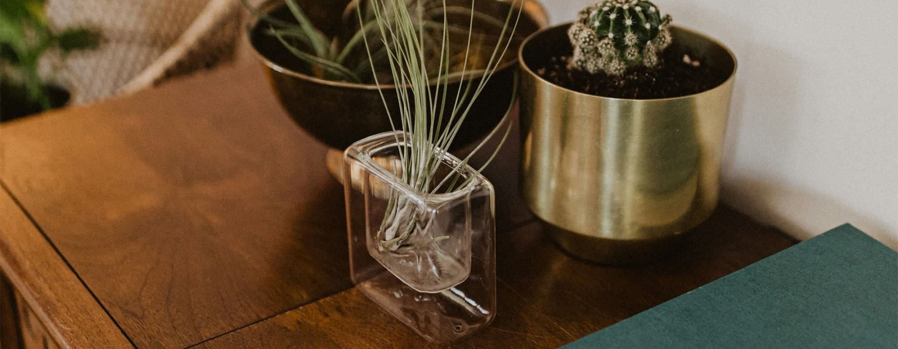 a dresser with a vase of plants on top